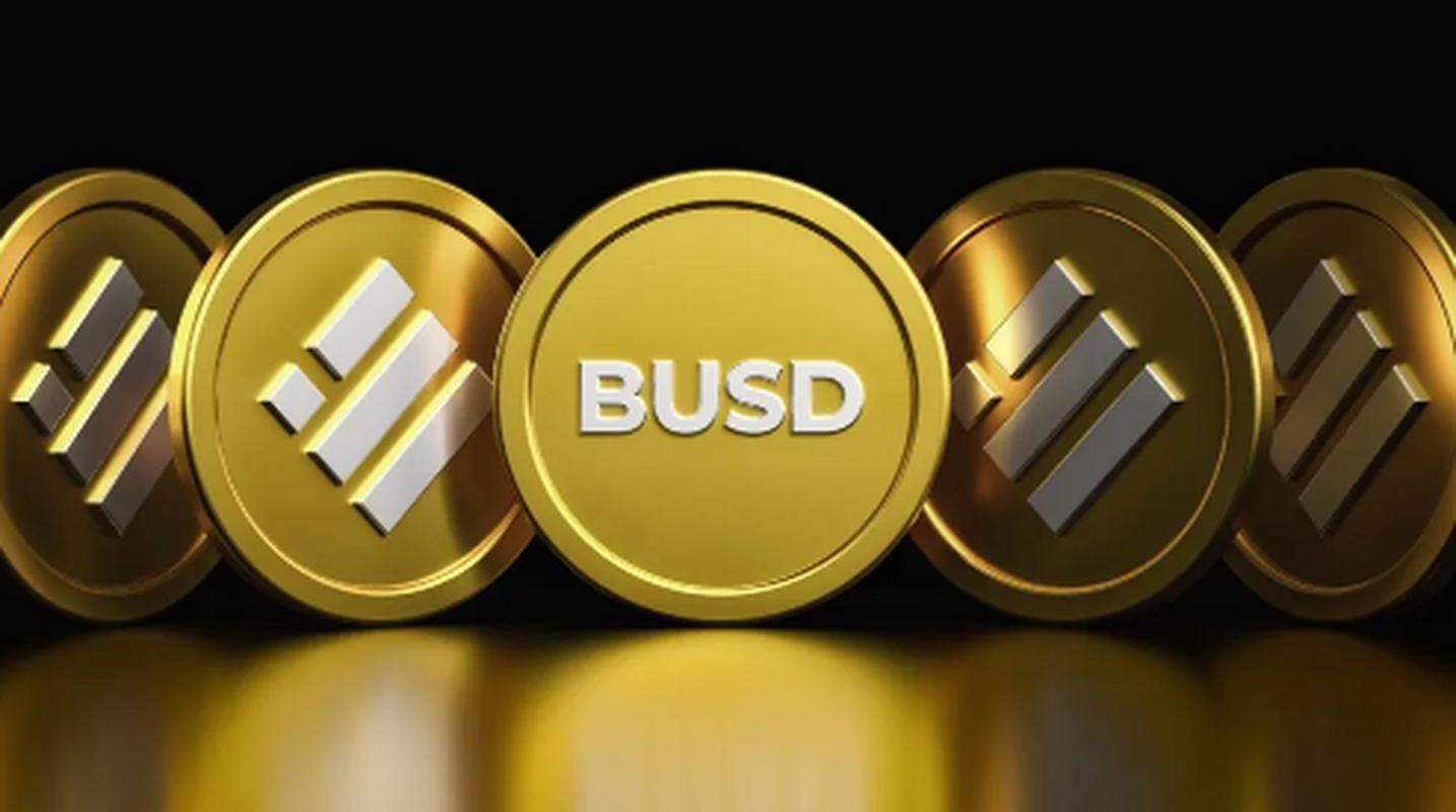 busd和ETH的區(qū)別是什么_人大和政協(xié)的主要區(qū)別是_人與動物的根本區(qū)別是